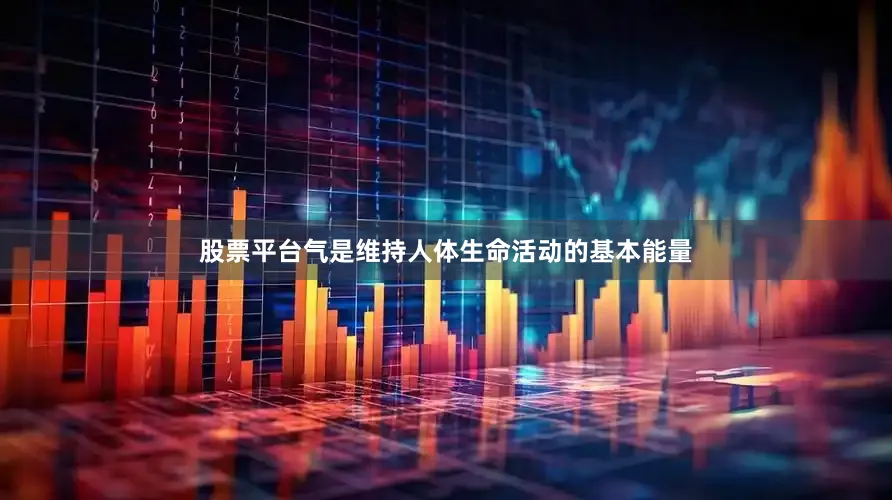 股票平台气是维持人体生命活动的基本能量