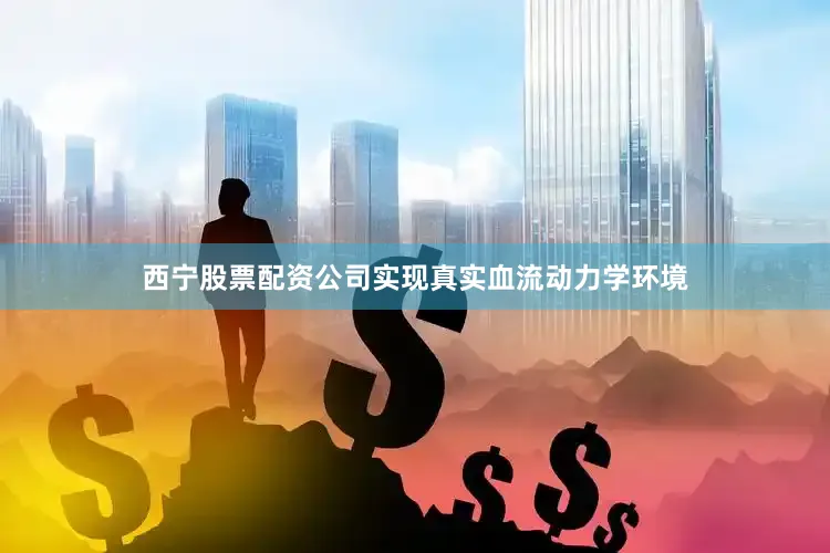 西宁股票配资公司实现真实血流动力学环境